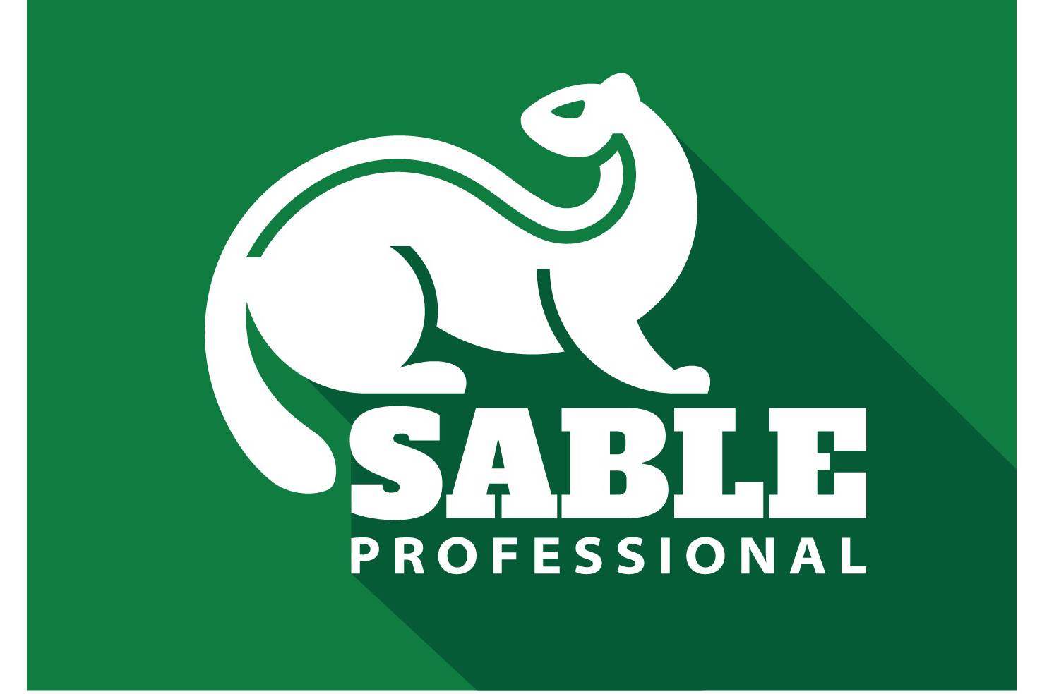 Saible